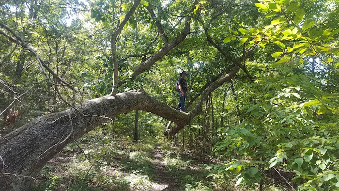Indian Creek Park Picture 7