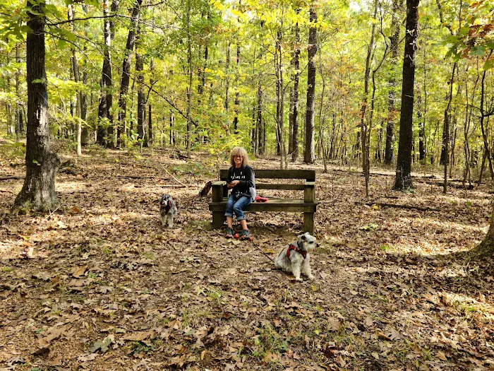 Withrow Springs State Park Campground Picture 8