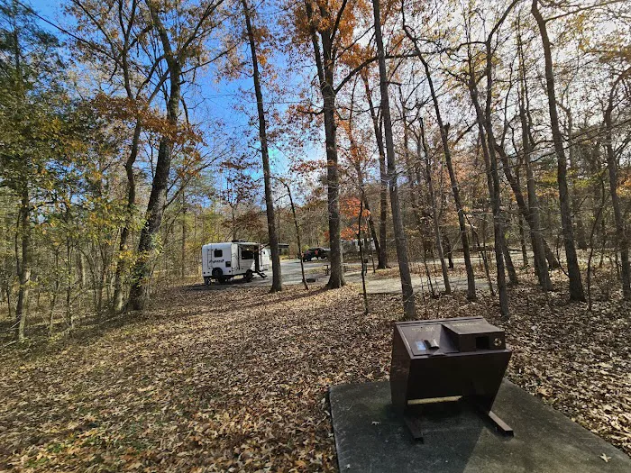 Withrow Springs State Park Campground Picture 2