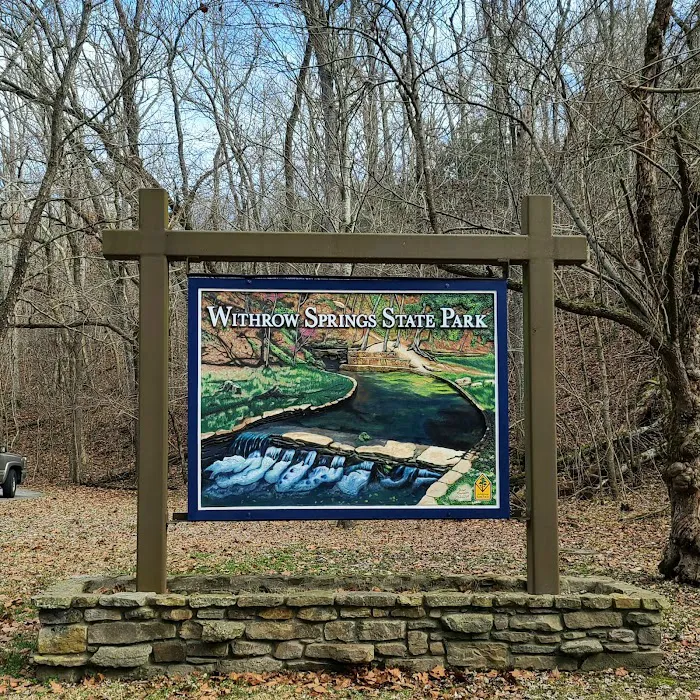 Withrow Springs State Park Campground Picture 4