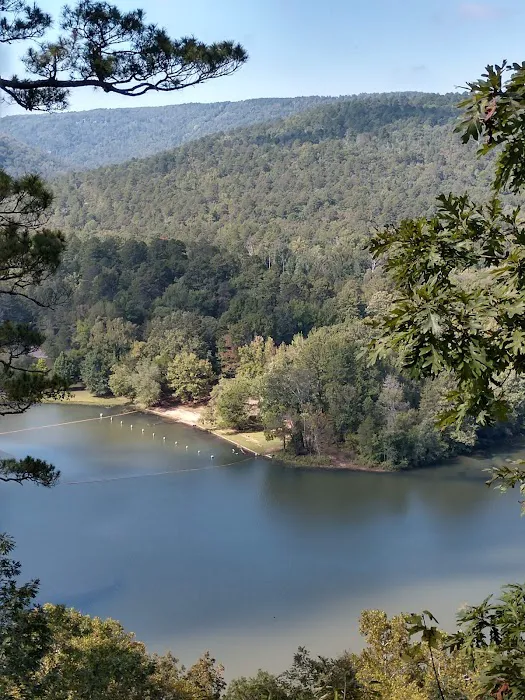 Shores Lake Recreation Area Picture 4