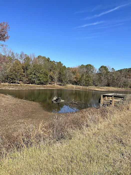Shores Lake Recreation Area Picture 2