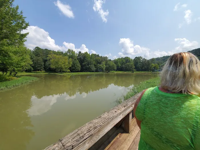Shores Lake Recreation Area Picture 8