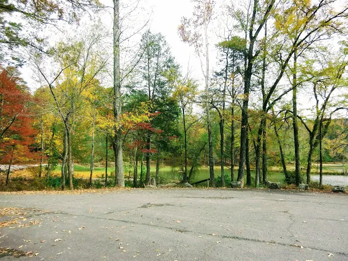 Shores Lake Campground Picture 6