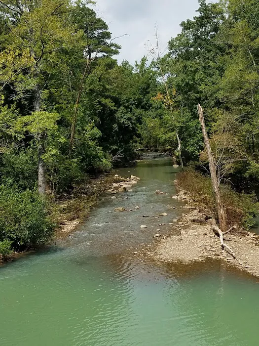 Shores Lake Campground Picture 10