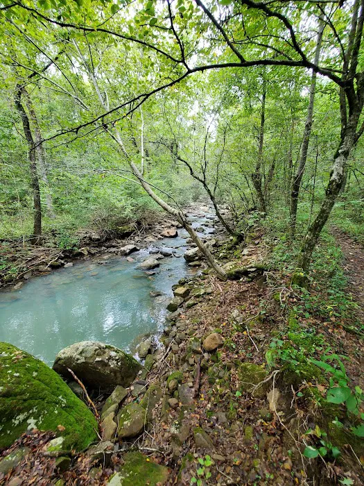 Shores Lake Campground Picture 8