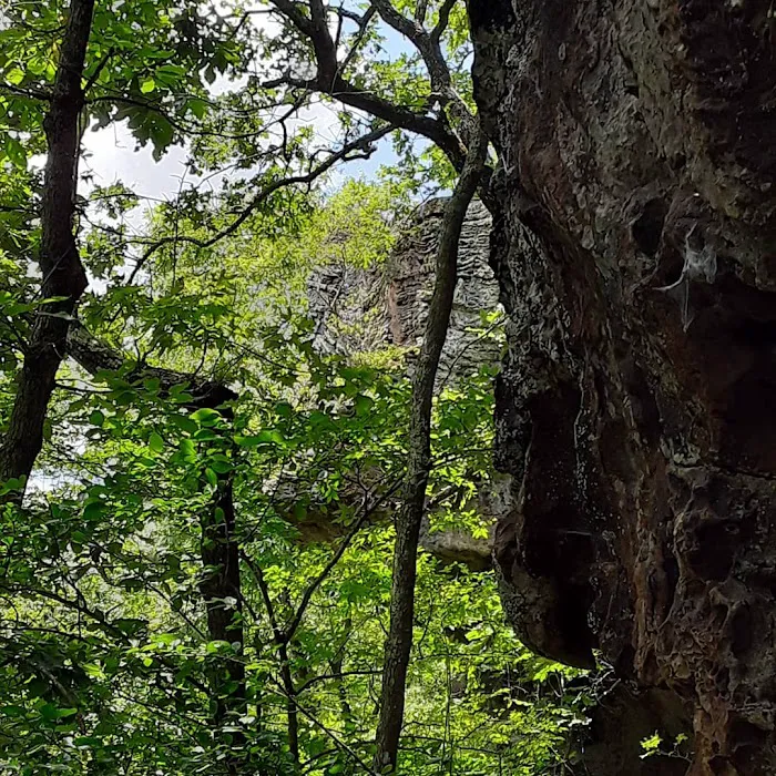 Robbins Ridge Picture 10