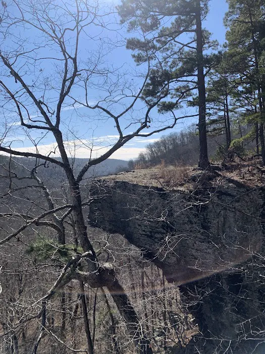 Robbins Ridge Picture 3