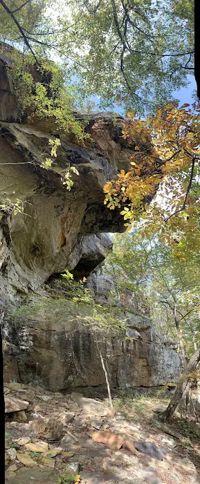 Robbins Ridge Picture 6