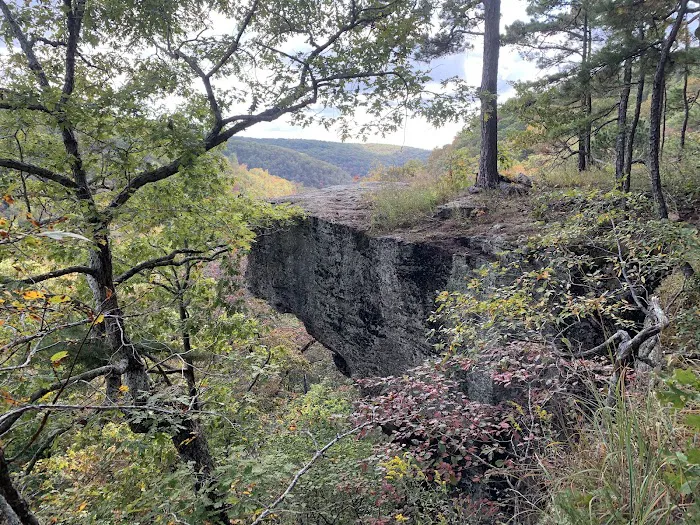 Robbins Ridge Picture 4