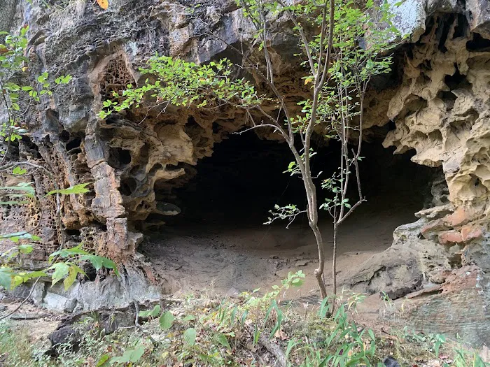 Robbins Ridge Picture 8