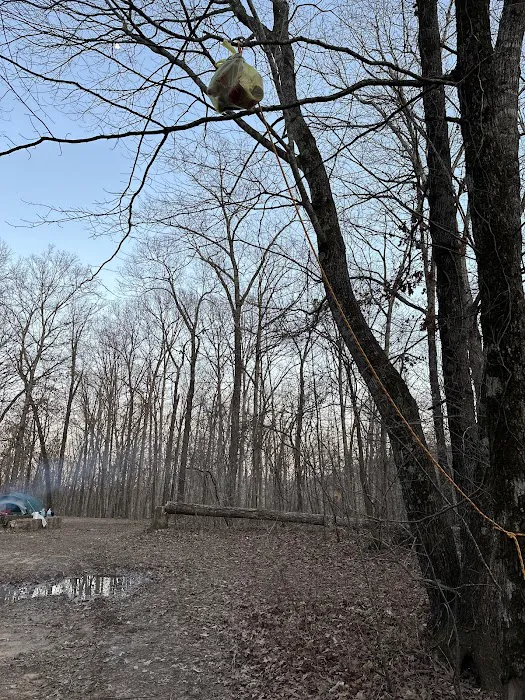 Walkingstick Ridge Picture 2