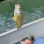 US Army Corps of Engineers