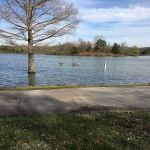 US Army Corps of Engineers