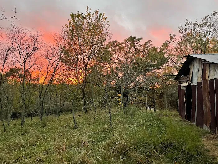 Fitzgerald Mountain RV Camp Picture 7