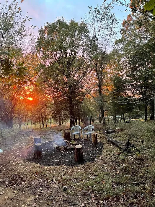 Fitzgerald Mountain RV Camp Picture 3