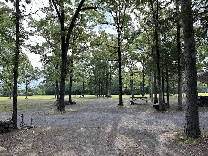 Wildwoodz Picture 3