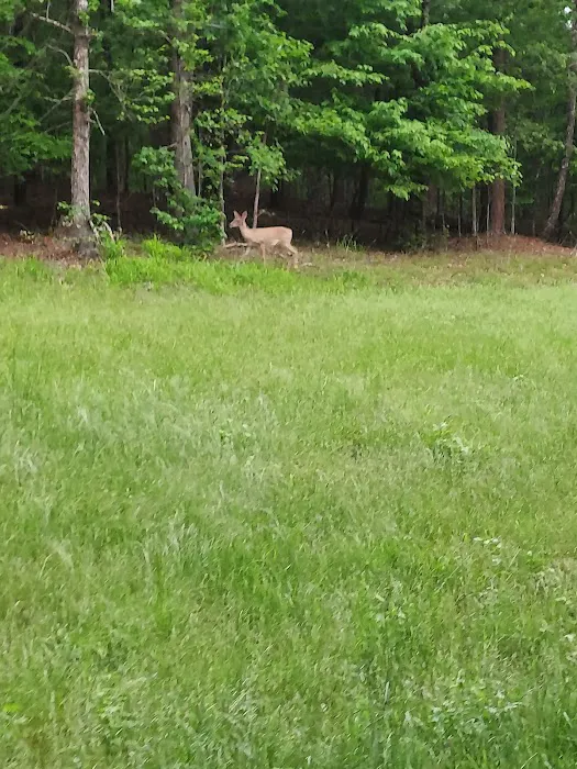 Joplin Recreation Area-USACE Picture 6