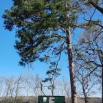 Twin creeks recreation area campground