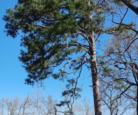 Twin creeks recreation area campground