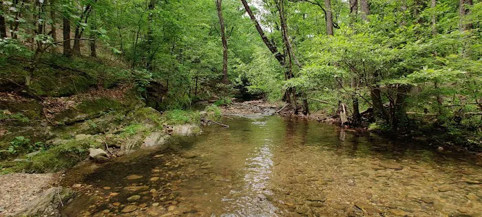 Hickory Nut Mountain Campground Picture 9