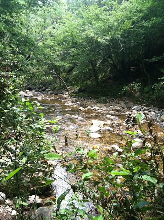 Hickory Nut Mountain Campground Picture 8