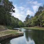 Camp Site 21 @ Charlton Recreation Area