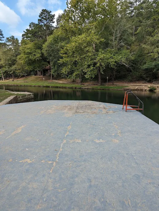 Camp Site 21 @ Charlton Recreation Area Picture 4