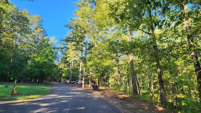 Charlton Recreation Area Picture 1