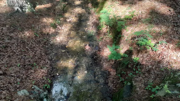 Lake Catherine State Park Campground Picture 7