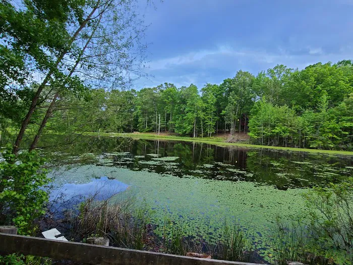 J B's RV Park & Campground Picture 5