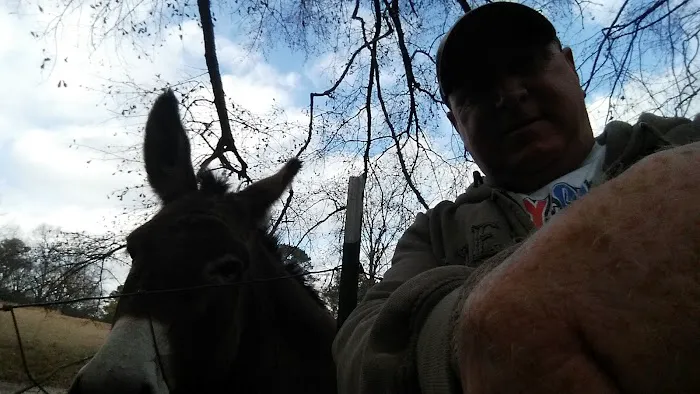 J B's RV Park & Campground Picture 7