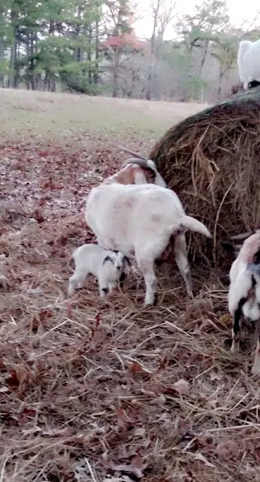 J B's RV Park & Campground Picture 8