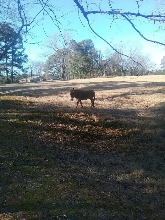 J B's RV Park & Campground Picture 6