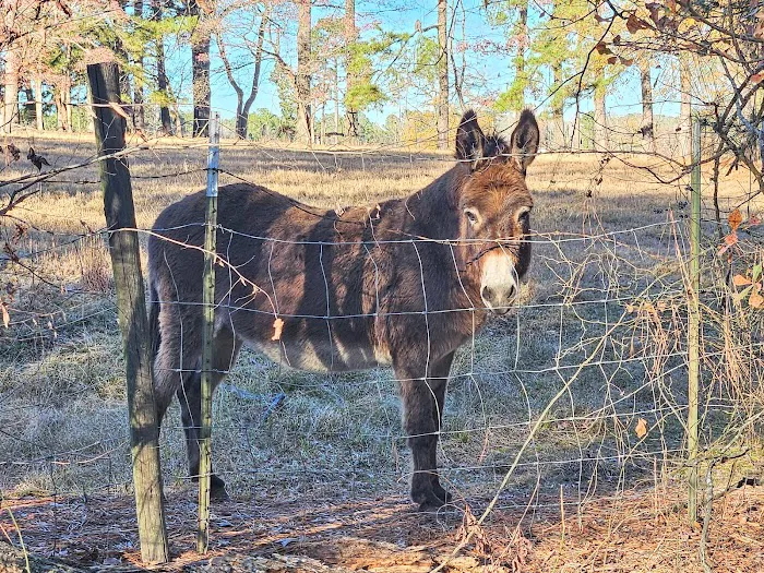 J B's RV Park & Campground Picture 3