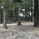 Bar Fifty Guest Ranch Pavilion