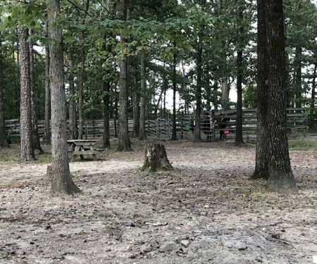 Bar Fifty Guest Ranch Pavilion