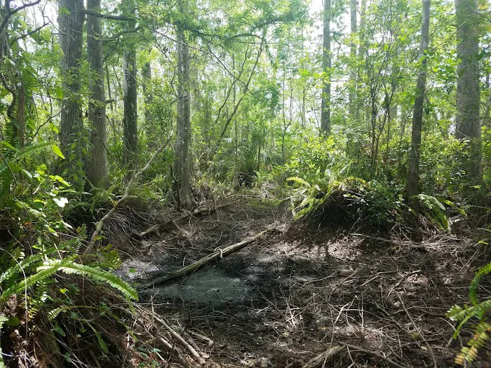 Frog Hammock Camp Picture 1