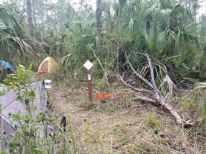 Frog Hammock Camp Picture 6