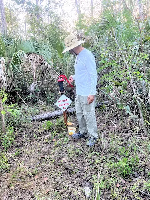 Frog Hammock Camp Picture 9