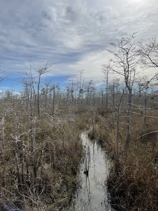 Frog Hammock Camp Picture 10