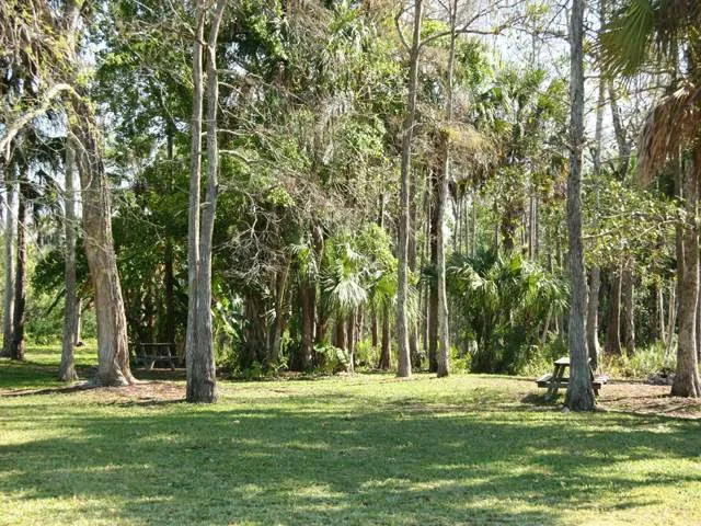 Trail Lakes Campground Picture 1