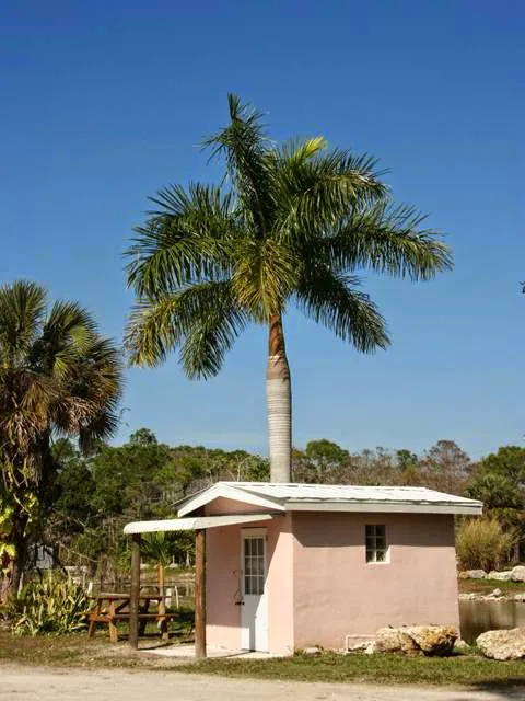 Trail Lakes Campground Picture 3