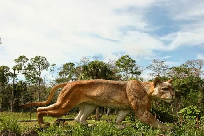 Trail Lakes Campground Picture 10