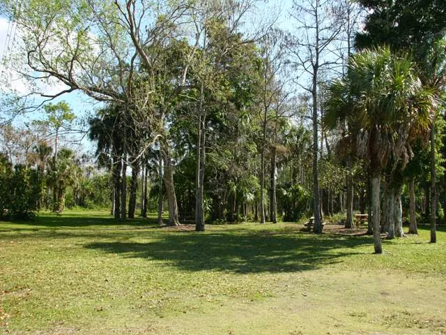 Trail Lakes Campground Picture 8