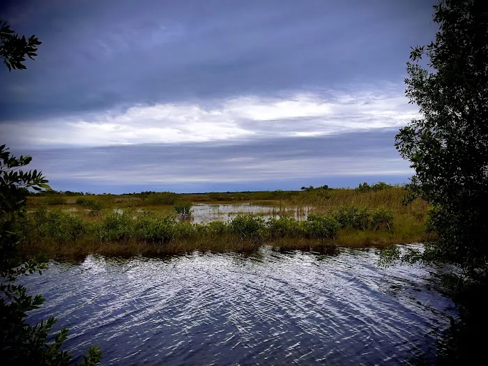 Dona Drive wildlife check station Picture 5