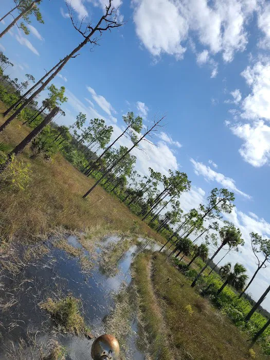 Dona Drive wildlife check station Picture 4