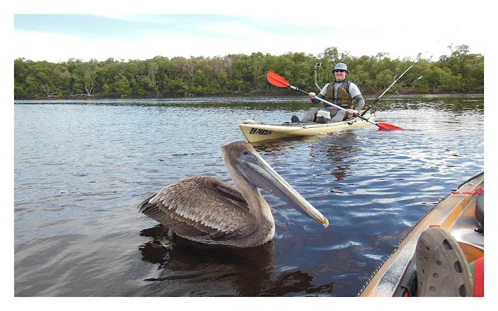 Lopez River Campsite Picture 1