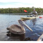 Lopez River Campsite
