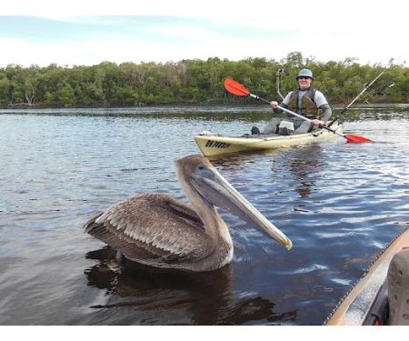 Lopez River Campsite